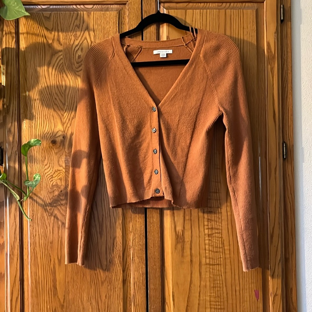 American Eagle bottom front crop sweater